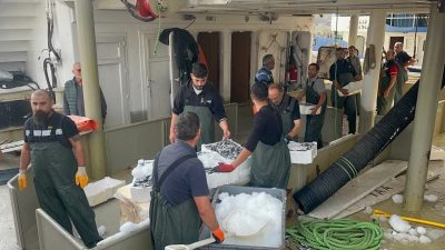 Düzce’nin Akçakoca ilçesinde Karadeniz’e açılan balıkçılar kasalarca hamsi tutarak geri