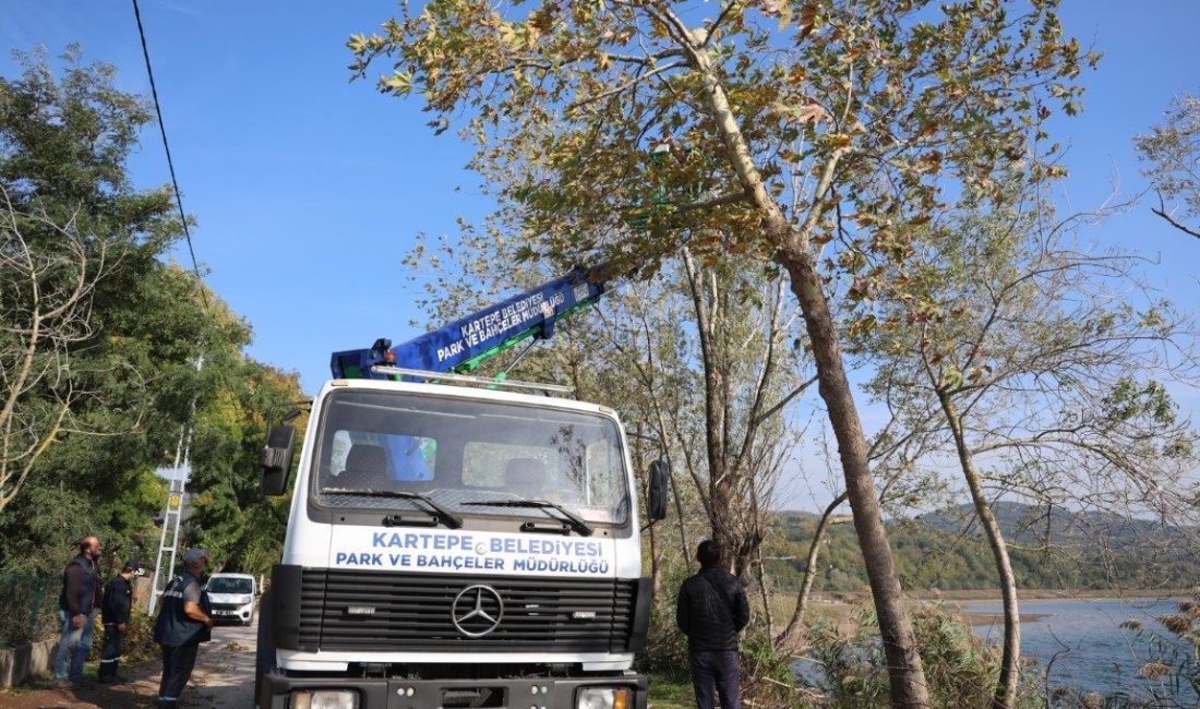 Kartepe’de yeşil alanlara bakım yapılıyor Kartepe Belediyesi Park ve Bahçeler Müdürlüğü ekipleri, ilçedeki yeşil alanlarda