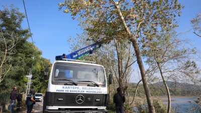 Kartepe Belediyesi Park ve Bahçeler Müdürlüğü ekipleri, ilçedeki yeşil alanlarda