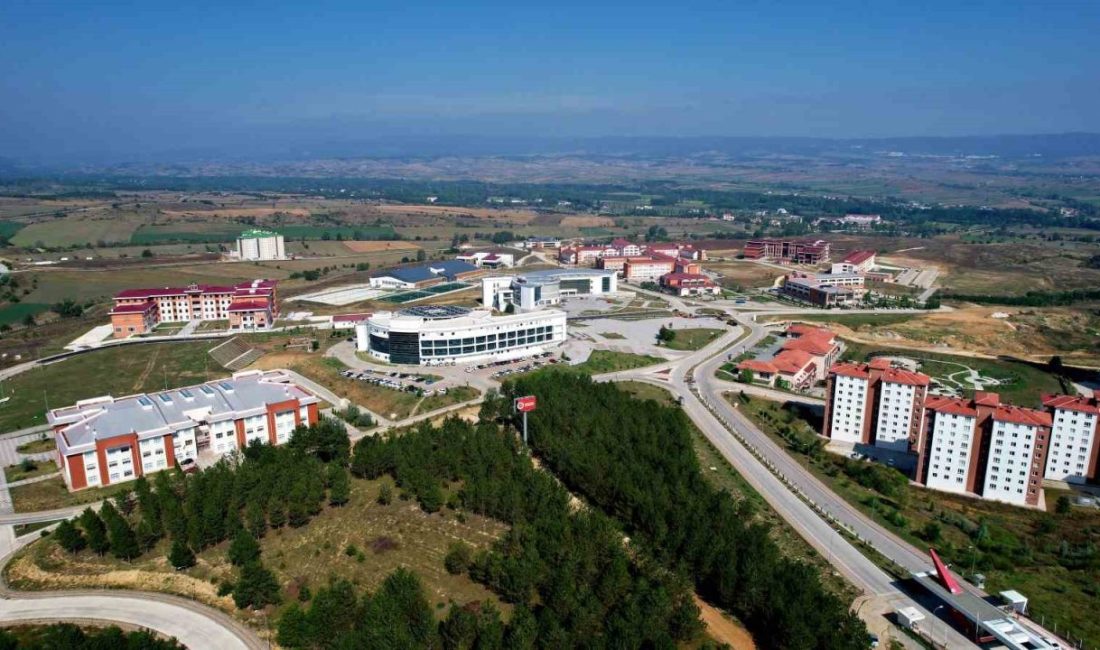Kastamonu Üniversitesi, yeni nesil yapı malzemeleri geliştirecek Kastamonu Üniversitesi, Türk Patent ve Marka Kurumu tarafından tescillenen patentiyle