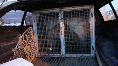 Kastamonu’nun Küre ilçesinde annelerini kaybettikten sonra yol kenarında vatandaşlar tarafından