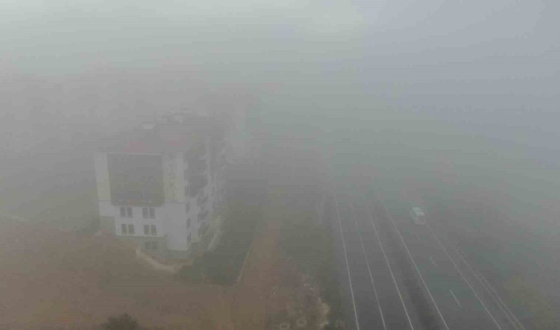 Kastamonu’da sis etkili oldu Kastamonu’da etkili olan yoğun sis, Kastamonu-Ankara kara yolu ve Kastamonu-İstanbul