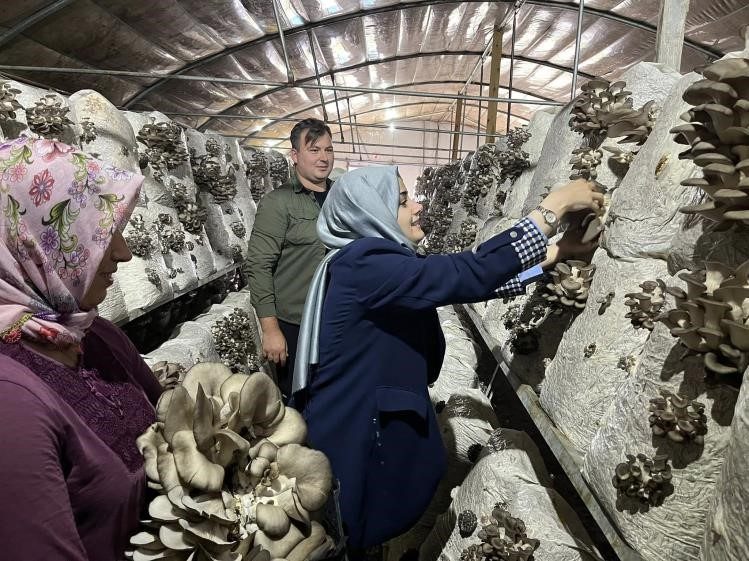 Kaymakam Kılıç: “Yerel üretimi her zaman destekliyoruz” Gölpazarı Kaymakamı Feyza Nur Kılıç, Gölpazarı ilçeye bağlı Küçükyenice Köyü’nde