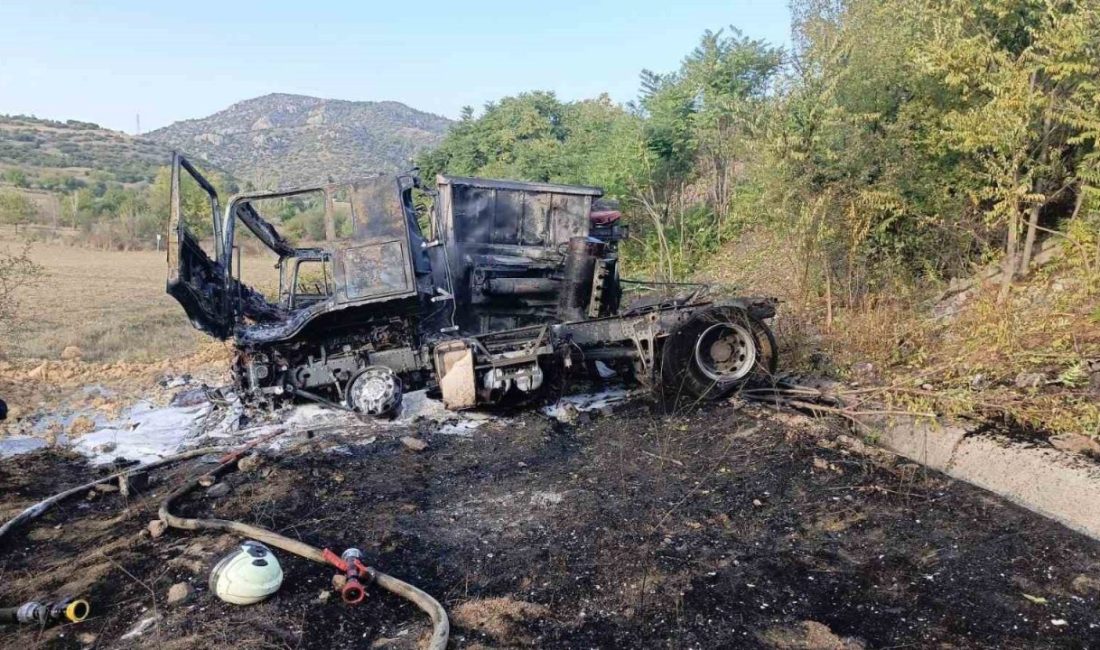 Kaza yapan tır yanarak kül oldu Bilecik’te seyir halinde kontrolden çıkan tır tarlaya uçarak takla atarken,