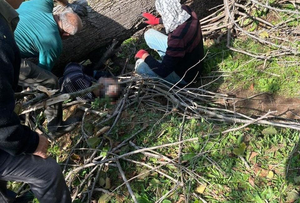 Kestiği ağacın altında kalarak yaralanmıştı, hastanede hayatını kaybetti Sakarya’nın Karasu ilçesinde kestiği ağacın altında kalarak yaralanan adam tedavi