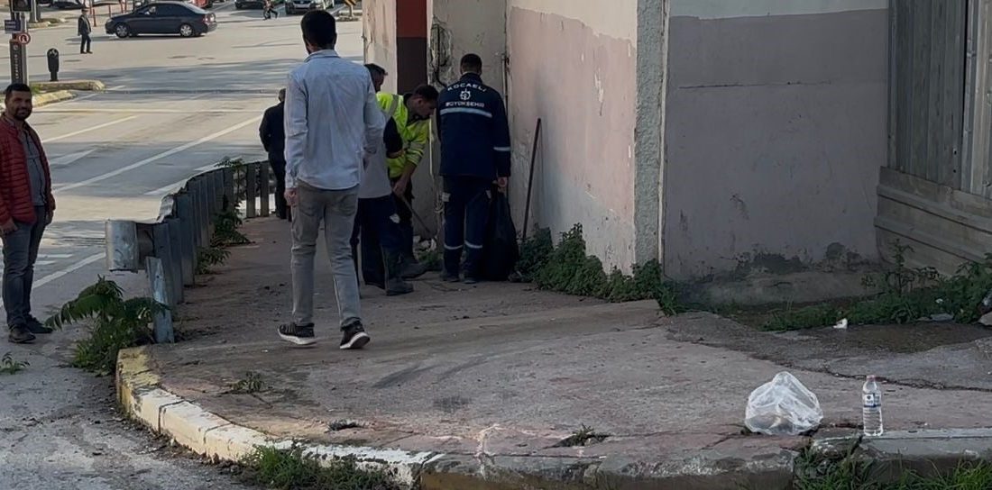 Kocaeli’de freni boşalan otobüs duvara çarptı: 3’ü polis 7 yaralı Kocaeli’nin İzmit ilçesinde cenaze töreninden dönen polis memurları ve yakınlarını
