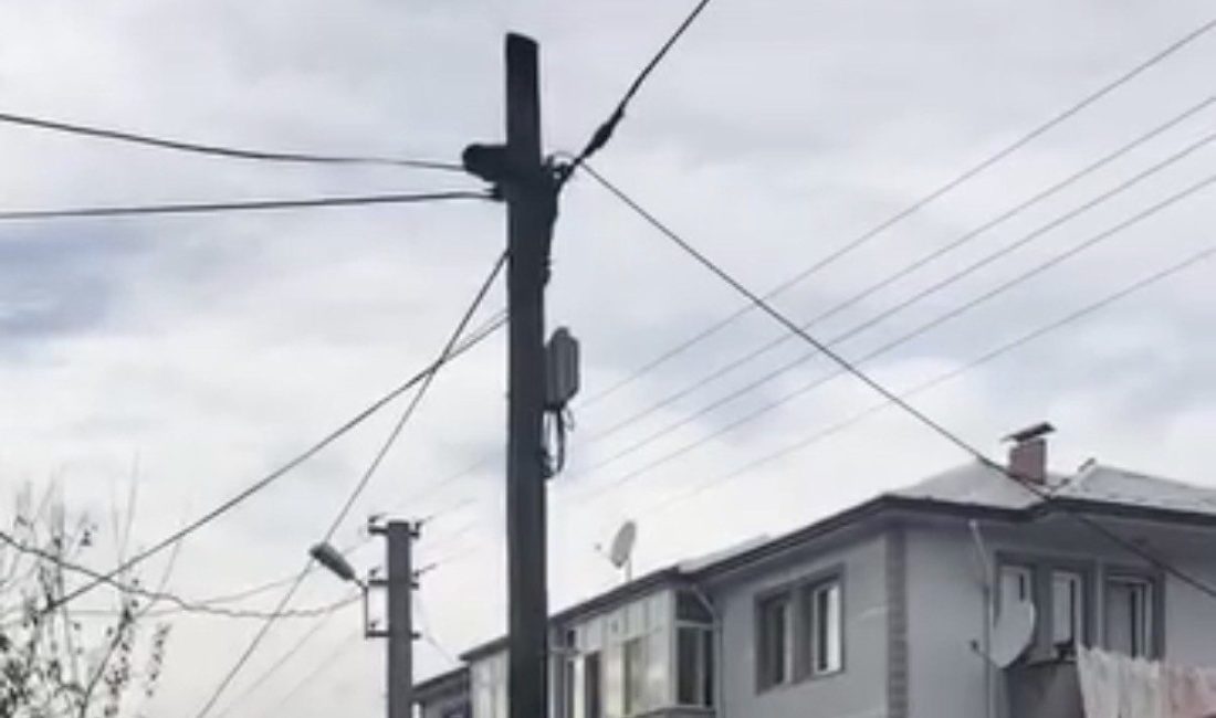 Köpeklerden kaçtı, direkte mahsur kaldı Düzce’de köpeklerden kaçarak tırmandığı telefon direğinde mahsur kalan kedi, Düzce