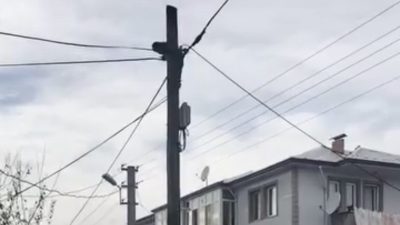 Düzce’de köpeklerden kaçarak tırmandığı telefon direğinde mahsur kalan kedi, Düzce