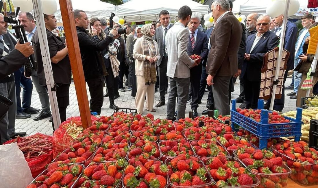 Sakarya’nın Pamukova ilçesinde bu yıl 6’ncısı düzenlenen “Pamukova Yöresel Ürünler