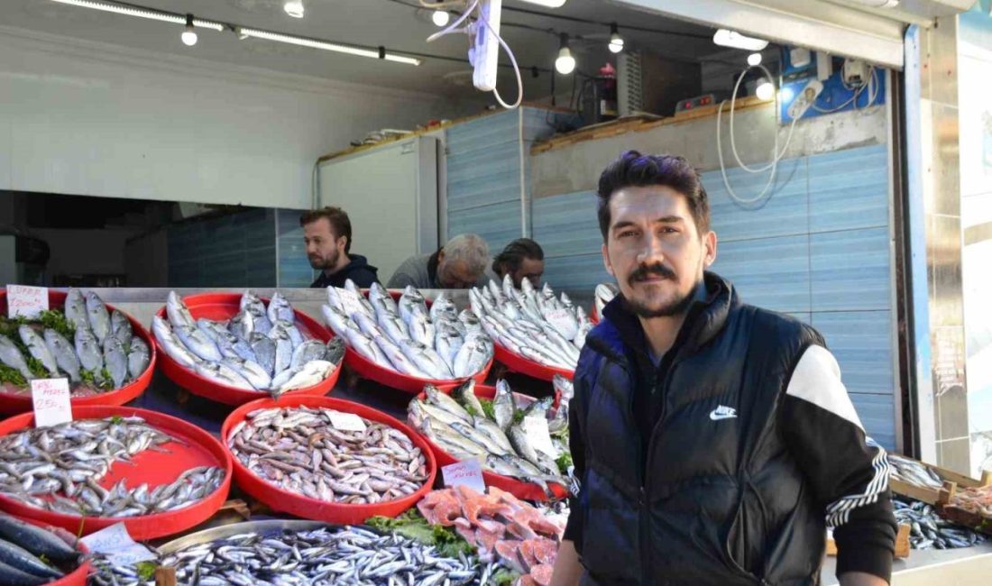 Mevsiminin en lezzetli balıkları hamsi ve sardalye Bilecik’te balık sezonunun açılmasıyla birlikte tezgahlarda hareketlilik devam ederken, mevsiminin