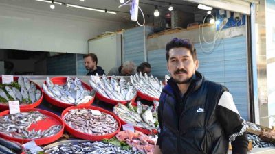 Bilecik’te balık sezonunun açılmasıyla birlikte tezgahlarda hareketlilik devam ederken, mevsiminin