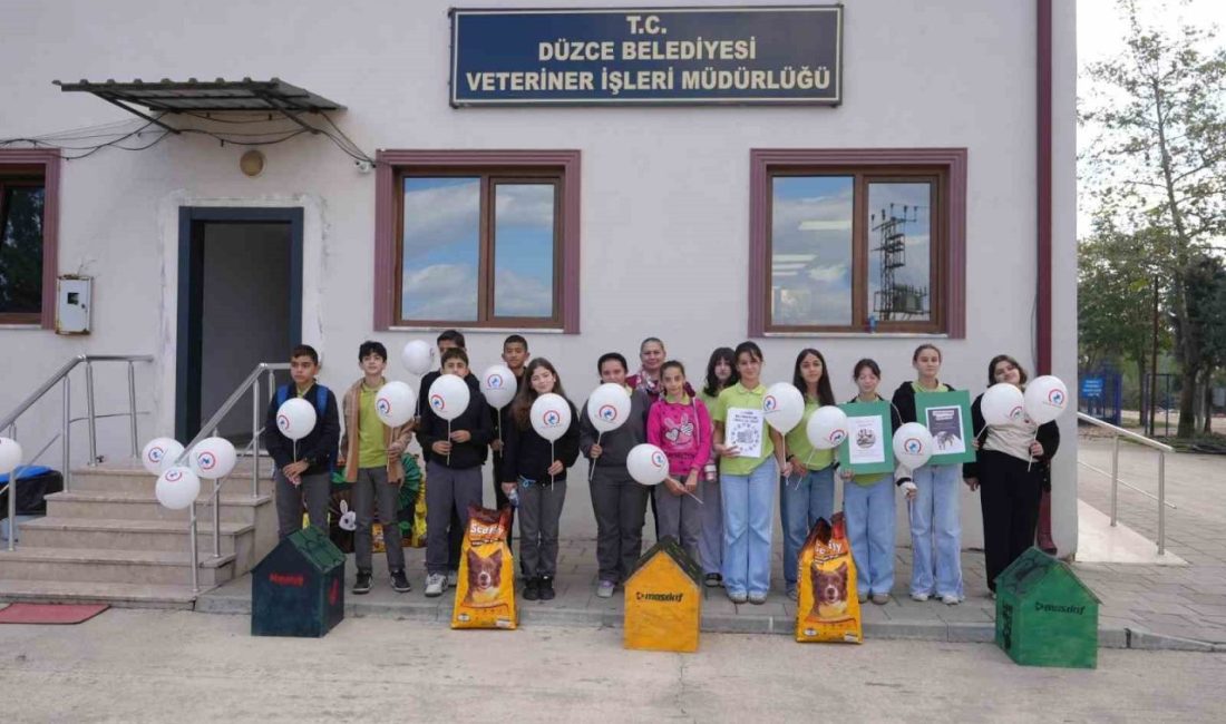 Düzce Belediyesi 4 Ekim Hayvanları Koruma Günü’nde Mergiç’teki sokak hayvanları