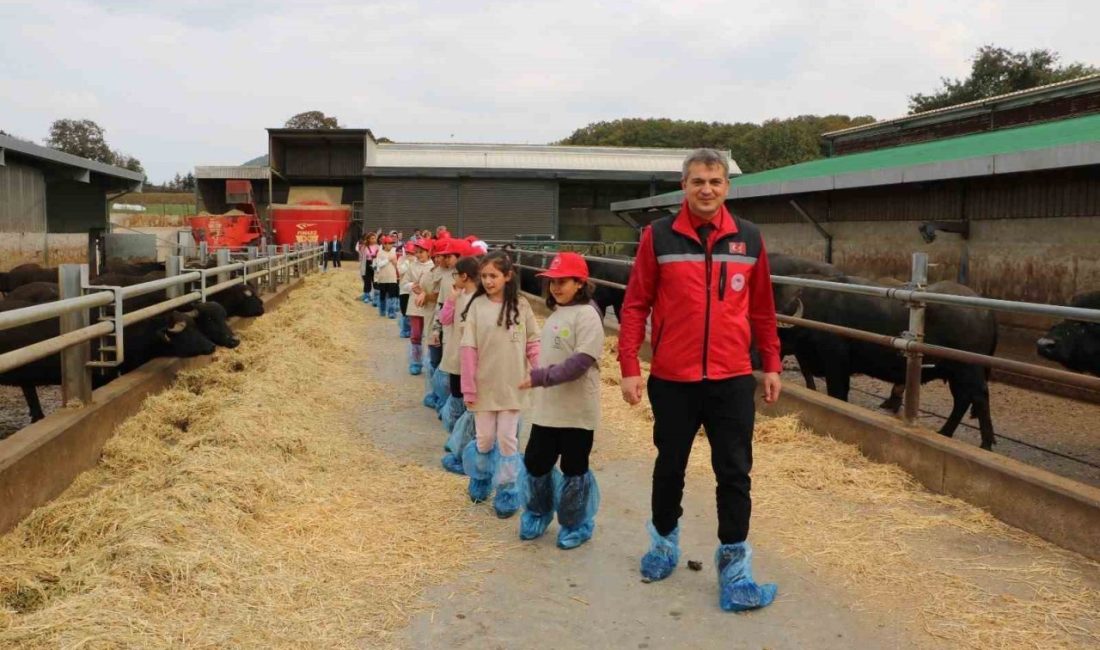 Kandıra’da düzenlenen Lider Çocuk Tarım Kampı’nda öğrenciler, tarımın önemini yerinde