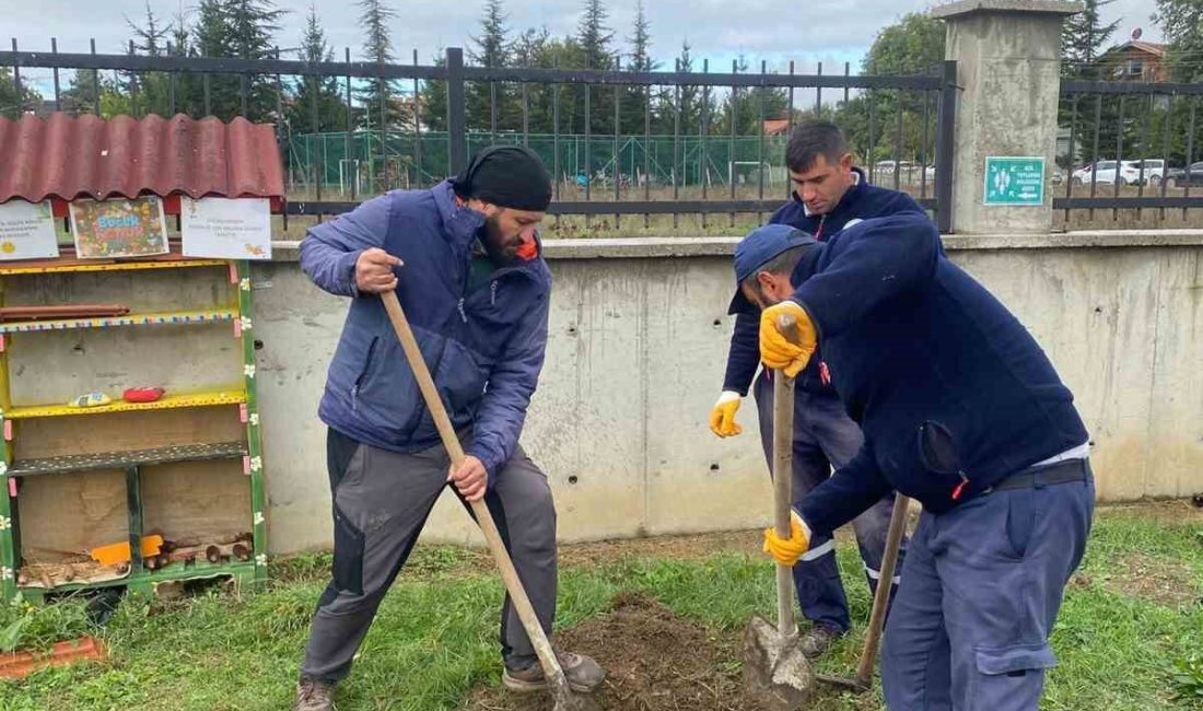 Türkiye’yi karış karış gezen çevre gönüllüsü Ömer Özer, “81 il
