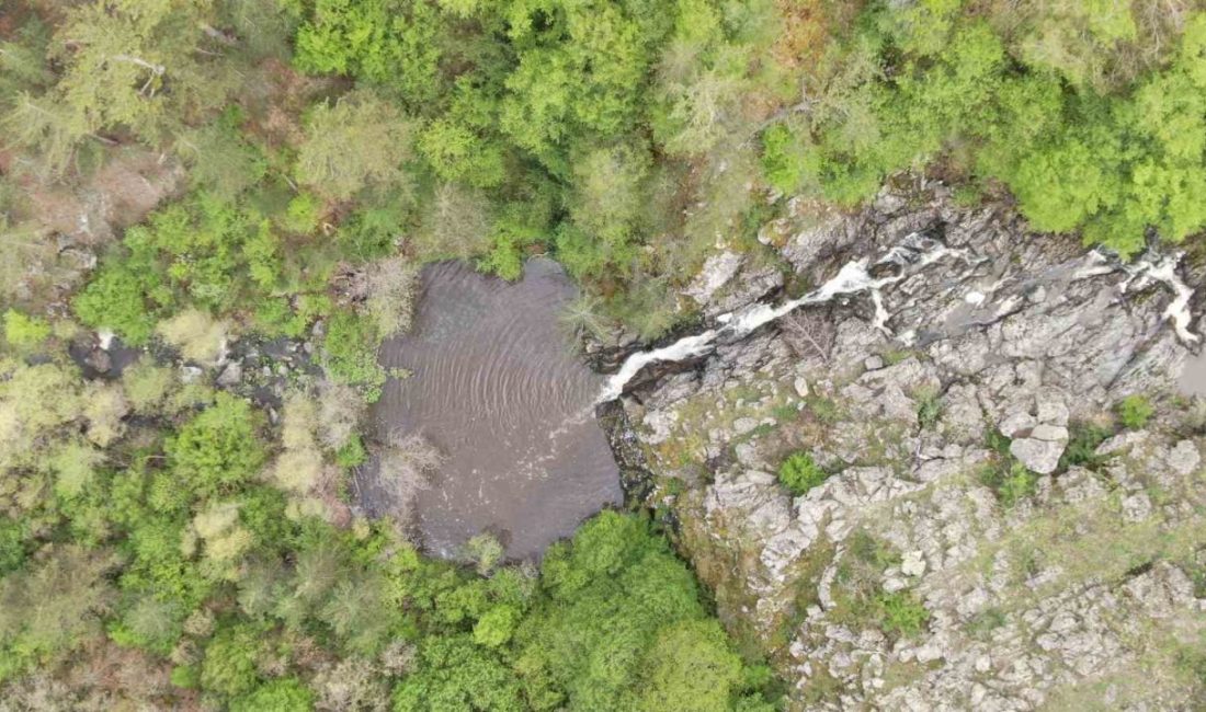 Kastamonu’nun Taşköprü ilçesinde orman içerisindeki şelale, sunduğu manzarayla görenleri hayran