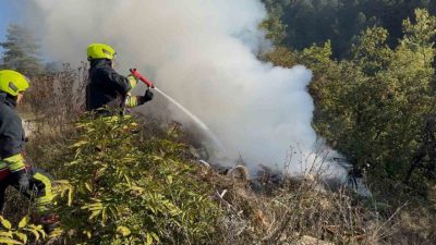 Bolu’nun Ağaççılar köyü mevkiinde ormanlık alanda çıkan çöp yangını, itfaiye