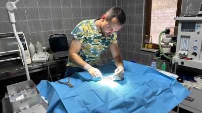 Bilecik’in Osmaneli ilçesinde, olta misinesine dolanan ve vücuduna iğne saplanan