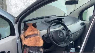 Kocaeli’de narkotik köpeği ile durdurulan bir araçta yapılan aramada, çeşitli