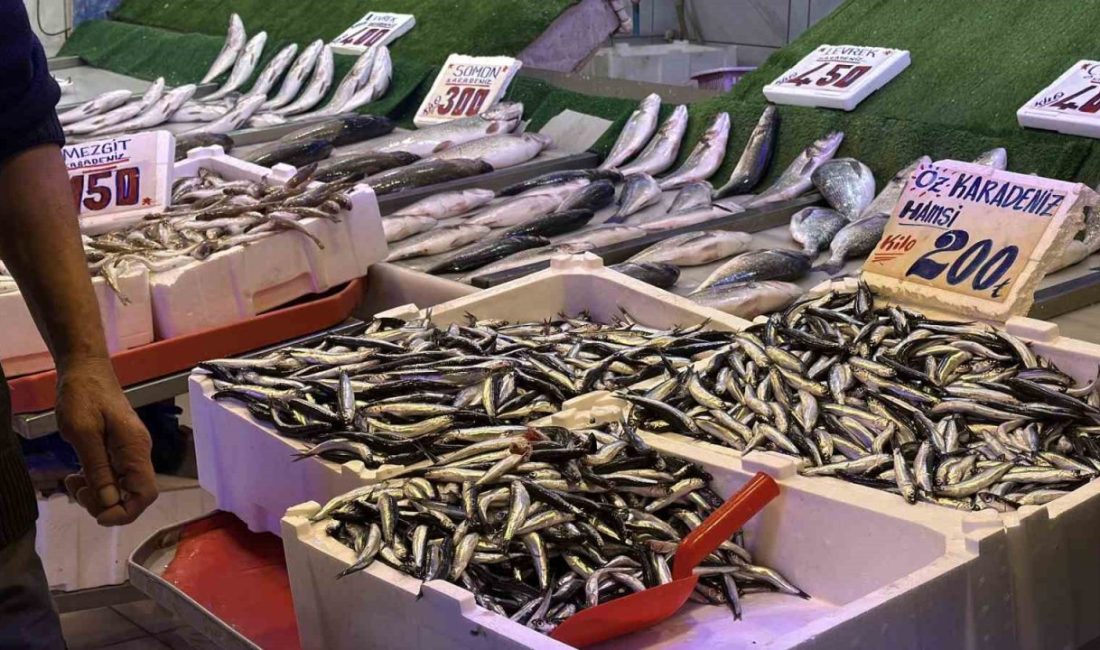 Bu sezon tezgahlarda palamudun yerini Karadeniz’in vazgeçilmezi hamsi aldı. Tezgahlarda
