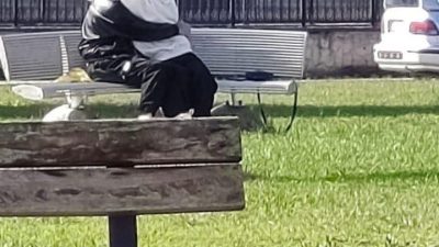 Sakarya’nın Akyazı ilçesinde vatandaşların yoğun olarak bulunduğu bir parkta, 2