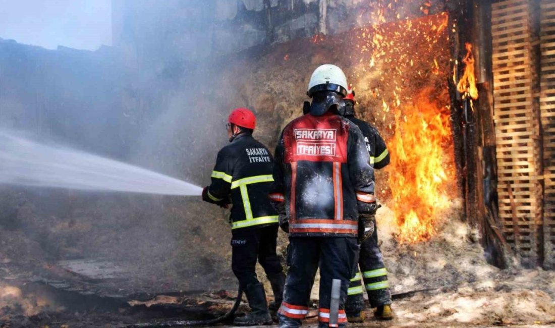 Sakarya’da ahşap atölyesinde korkutan yangın Sakarya’nın Akyazı ilçesinde ahşap sap ve kürek imalatı yapılan atölyede