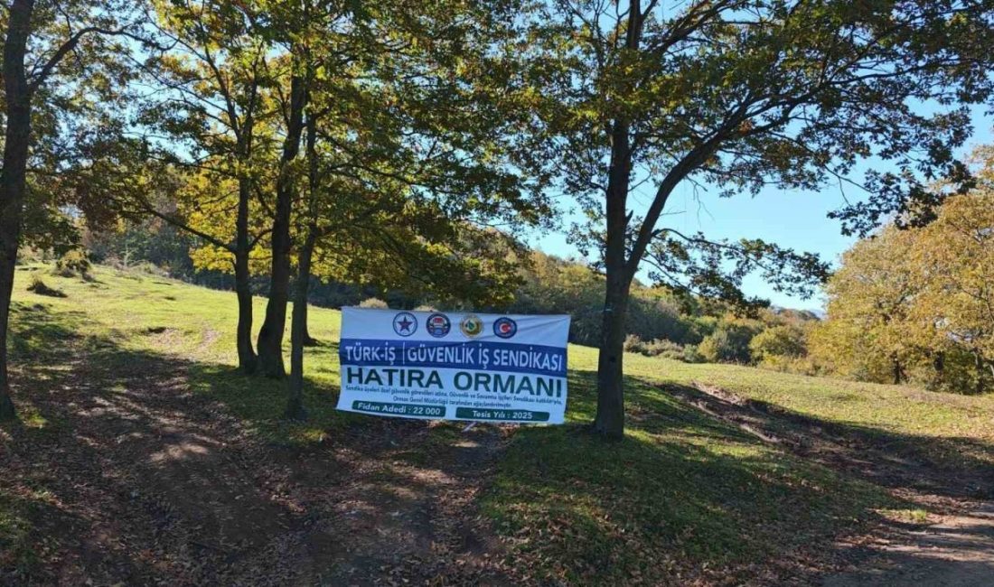 Ülkemizde son yıllarda yaşanan orman yangınları sebebiyle azalan yeşil alanların