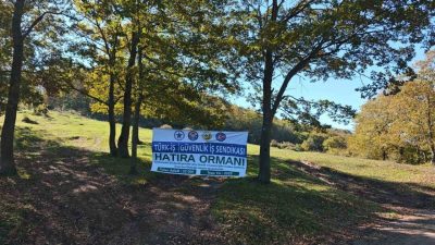 Ülkemizde son yıllarda yaşanan orman yangınları sebebiyle azalan yeşil alanların