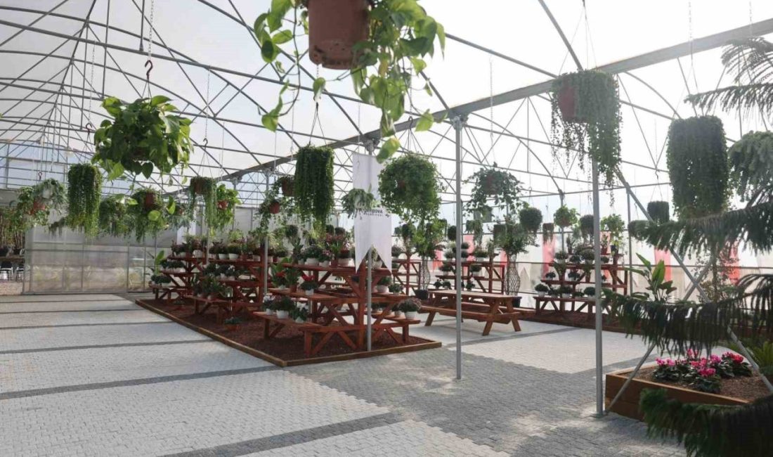 Çayırova’da vatandaşların doğayla iç içe vakit geçirmesi ve tarımsal faaliyetleri