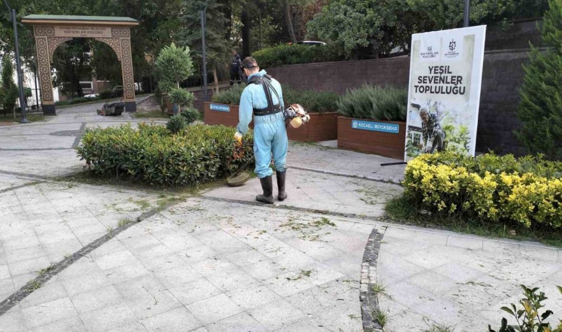 Kocaeli’de, 65 yaş ve üzeri vatandaşların hizmet aldığı Saygınlar Kulübü