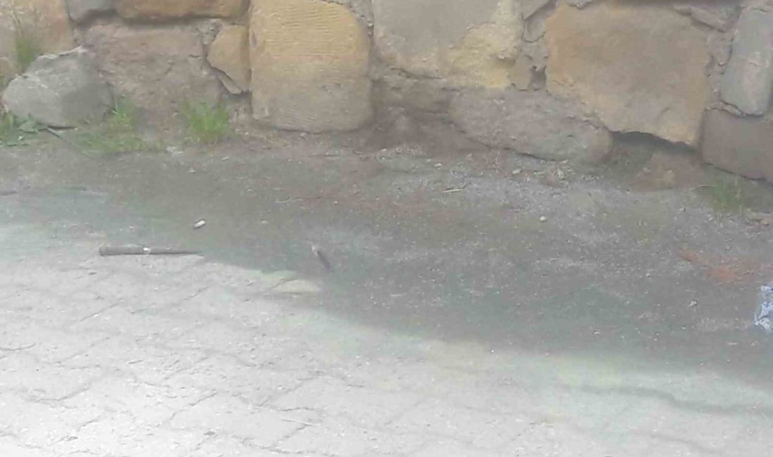 Kastamonu’da 1 kişinin 6 yerinden bıçaklanarak yaralandığı olayla ilgili yargılanan