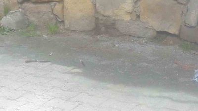 Kastamonu’da 1 kişinin 6 yerinden bıçaklanarak yaralandığı olayla ilgili yargılanan