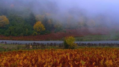 Sakarya Büyükşehir Belediyesi Sonbahar Doğa Yürüyüşleri çerçevesinde 14 kilometrelik Geyve