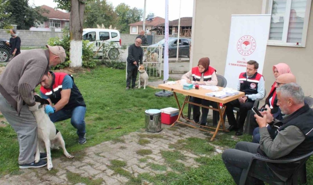 DÜZCE(İHA) – Düzce’de 13 bin 123 ev hayvanına mikroçip takıldı.