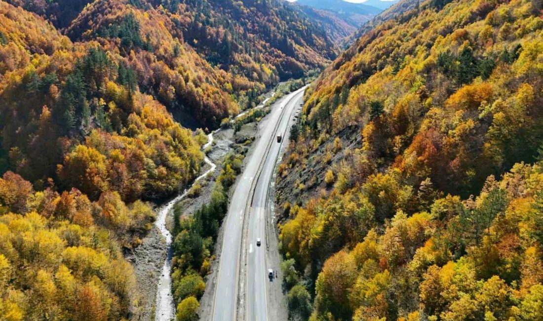 Sonbaharla Kastamonu ormanlarının mest eden buluşması Kastamonu’da sonbaharda renk cümbüşünün yaşandığı ormanlar, görenleri hayran bırakıyor. Kastportallık