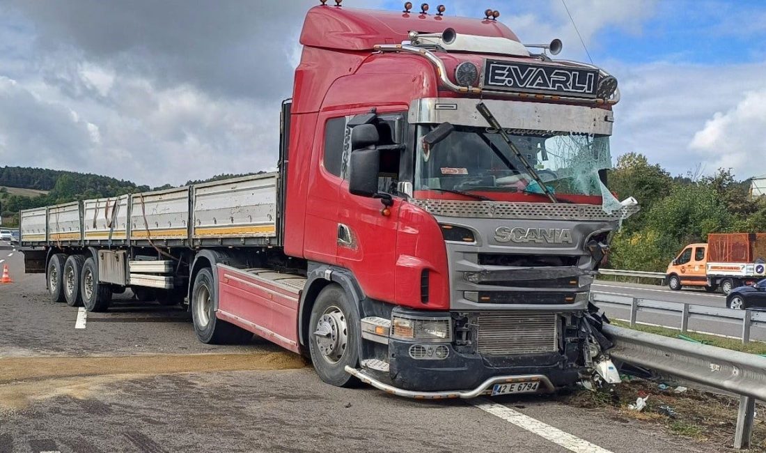 TEM’de bariyerlere çarpan tırın dorsesindeki demir profiller yola saçıldı: 1 yaralı TEM Otoyolu’nun Bolu Batı Gişeleri mevkiinde kontrolden çıkan tır, refüjdeki