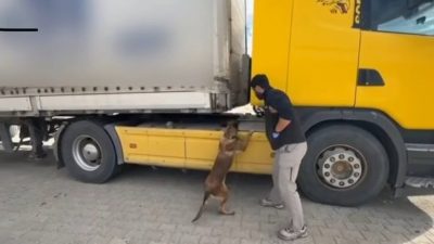 Kastamonu’nun Tosya ilçesinde polis ekiplerince düzenlenen operasyonda, bir tırın dorsesinde