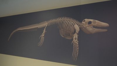 Hacettepe Üniversitesi Jeoloji Mühendisliği Bölümü Öğretim Üyesi Prof. Dr. Cemal