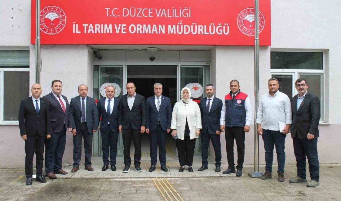 Ülke genelinde kayıplara yol açıyor Düzce’de 2021 yılında görülmeye başlanılan ve özellikle fındık alanlarında kayıplara