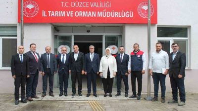 Düzce’de 2021 yılında görülmeye başlanılan ve özellikle fındık alanlarında kayıplara