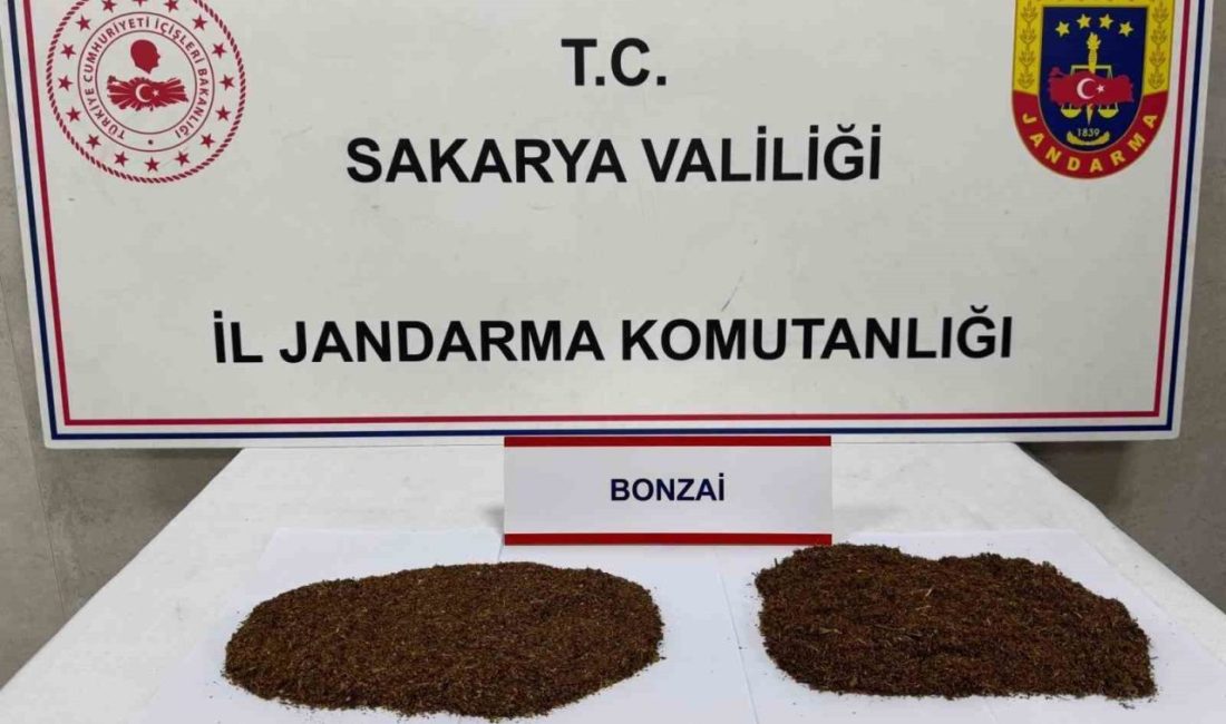 Sakarya’nın Serdivan ve Sapanca ilçelerinde jandarma ekipleri tarafından gerçekleştirilen uyuşturucu