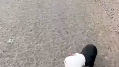 Yalova’nın Çiftlikköy ilçesinde kafası plastik yoğurt kabına sıkışan yavru köpeğin