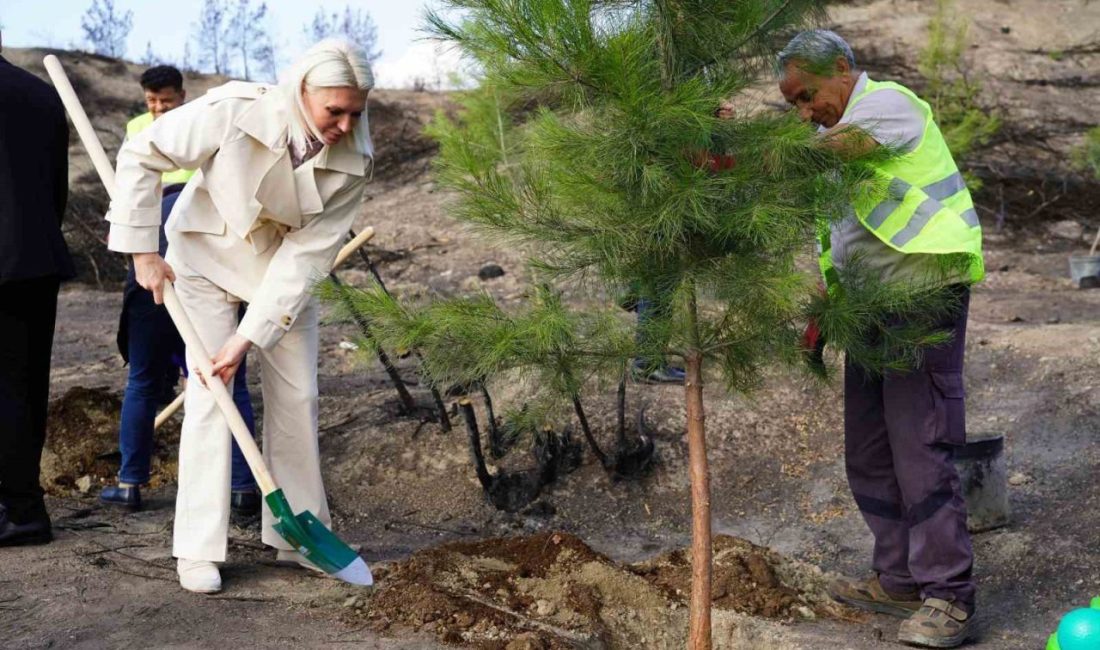 Yangın bölgesinde ilk fidanlar toprakla buluştu Bilecik’te Haziran ayında büyük orman yangınlarının çıktığı Gölpazarı ve Osmaneli