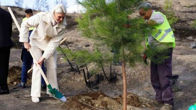 Bilecik’te Haziran ayında büyük orman yangınlarının çıktığı Gölpazarı ve Osmaneli
