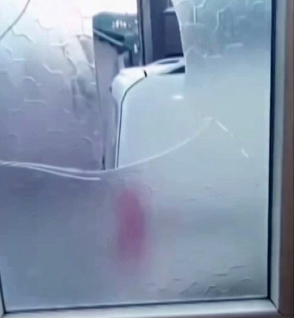 Sakarya’nın Söğütlü ilçesinde yaşlı bir çift, iddiaya göre arsalarını satmakla