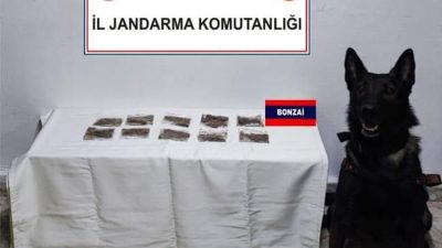 Bolu’da jandarma ekiplerinin yol kontrolü sırasında durdurduğu iki araçta çeşitli