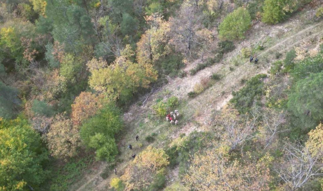 Kastamonu’nun Bozkurt ilçesinde 5 yaşındaki Osman Helvacı’nın cansız bedeninin bulunduğu