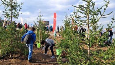SUBÜ’nün 6 öğrenci topluluğu, 11 Kasım Milli Ağaçlandırma Günü çerçevesinde