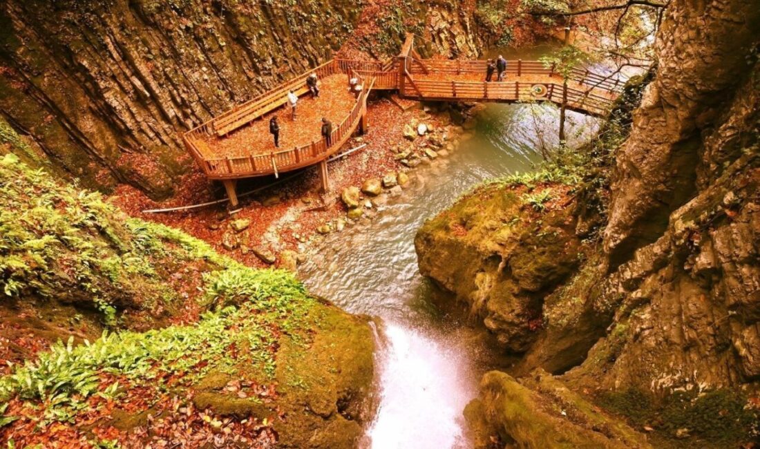 Aktaş şelalesinin doğal güzelliği paylaşıldı DÜZCE(İHA) – Bolu Orman Bölge Müdürlüğü Düzce’nin Akçakoca ilçesinde bulunan