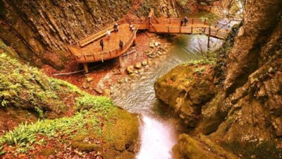 DÜZCE(İHA) – Bolu Orman Bölge Müdürlüğü Düzce’nin Akçakoca ilçesinde bulunan