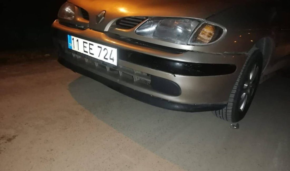 Bilecik’te alkollü olduğu iddia edilen ve yol kenarında yatan bir